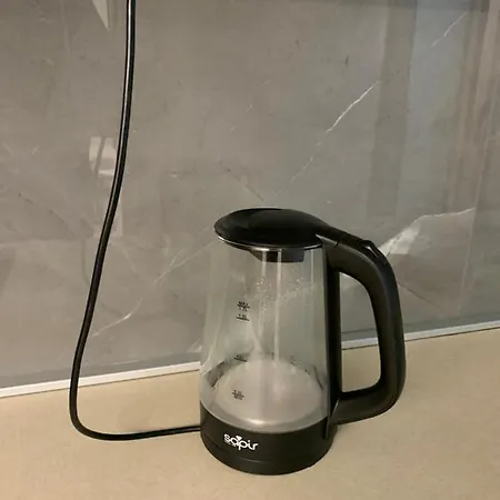 Aleksinac Apartament