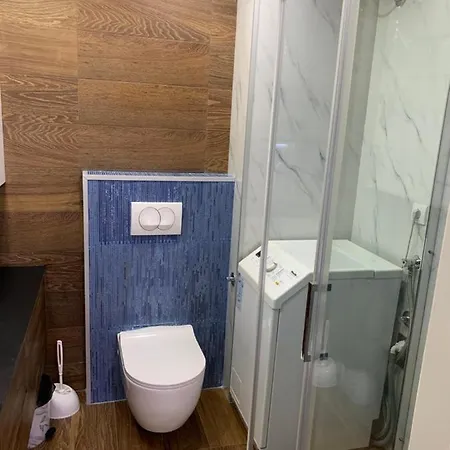 Apartament Aleksinac *